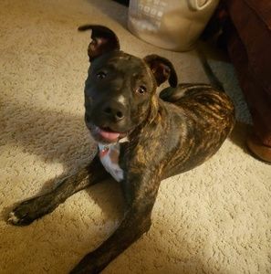 Meet your Posher, Jack